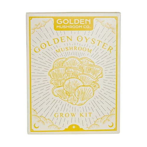 Golden Mushroom Co - Golden Oyster Mushroom Grow Kit image 1