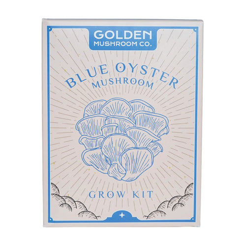 Golden Mushroom Co - Blue Oyster Mushroom Grow Kit image 1
