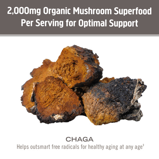 Om Mushroom Superfood - Chaga Organic Mushroom Powder - 200g - 100 Servings image 3