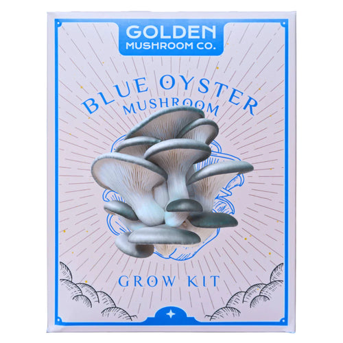 Golden Mushroom Co - Blue Oyster Mushroom Grow Kit image 0