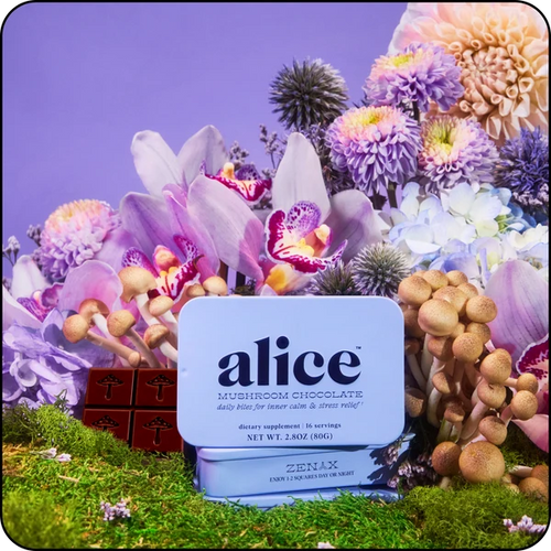 Alice Mushrooms - Zen-X Stress-Relief Reishi Mushroom Chocolates - 80g - 16 Servings