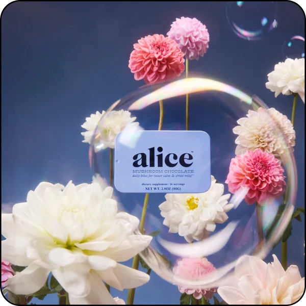 Alice Mushrooms - Zen-X Stress-Relief Reishi Mushroom Chocolates - 80g - 16 Servings