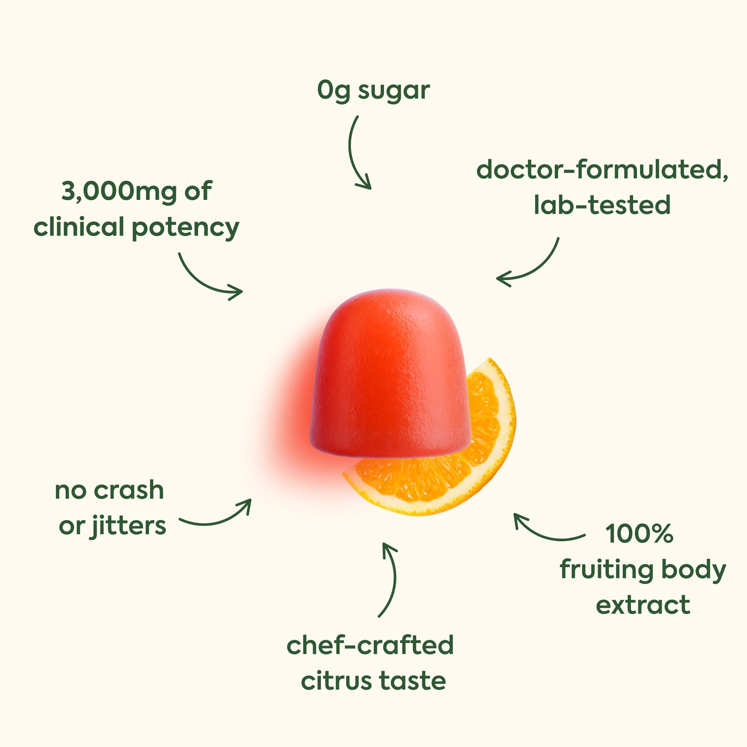 Plant People - WonderFocus Mushroom Gummies - Juicy Citrus - 60ct - 300mg per Serving - 30 Servings