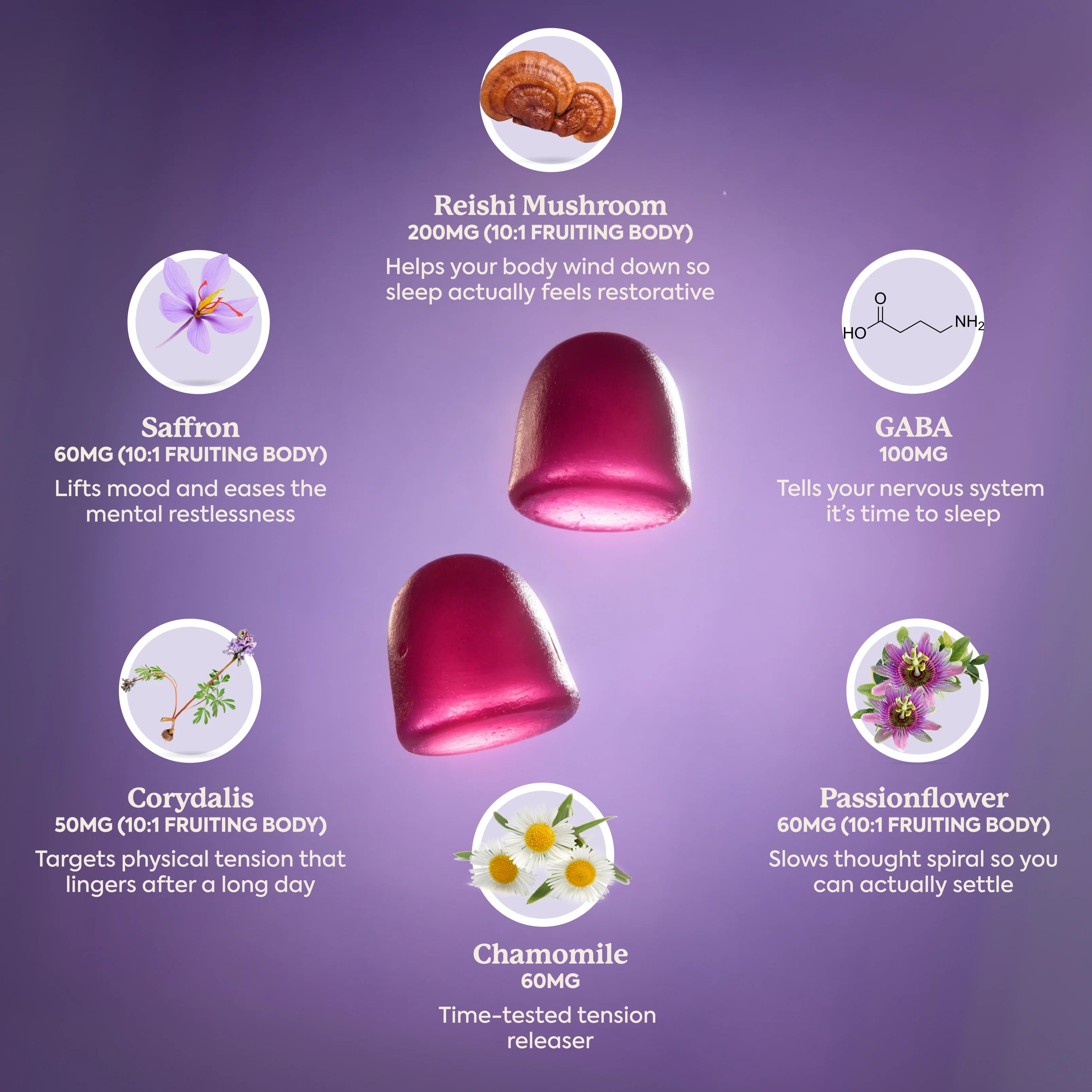 Plant People - WonderSleep Mushroom Gummies - Wild Elderberry - 60ct - 510mg per Serving - 30 Servings