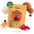 Plant People - WonderDay Mushroom Gummies - Wild Raspberry - 60ct - 2500mg per Serving - 30 Servings