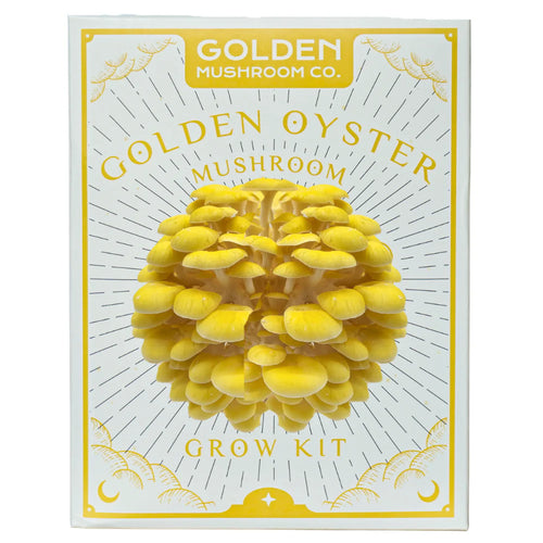 Golden Mushroom Co - Golden Oyster Mushroom Grow Kit image 0