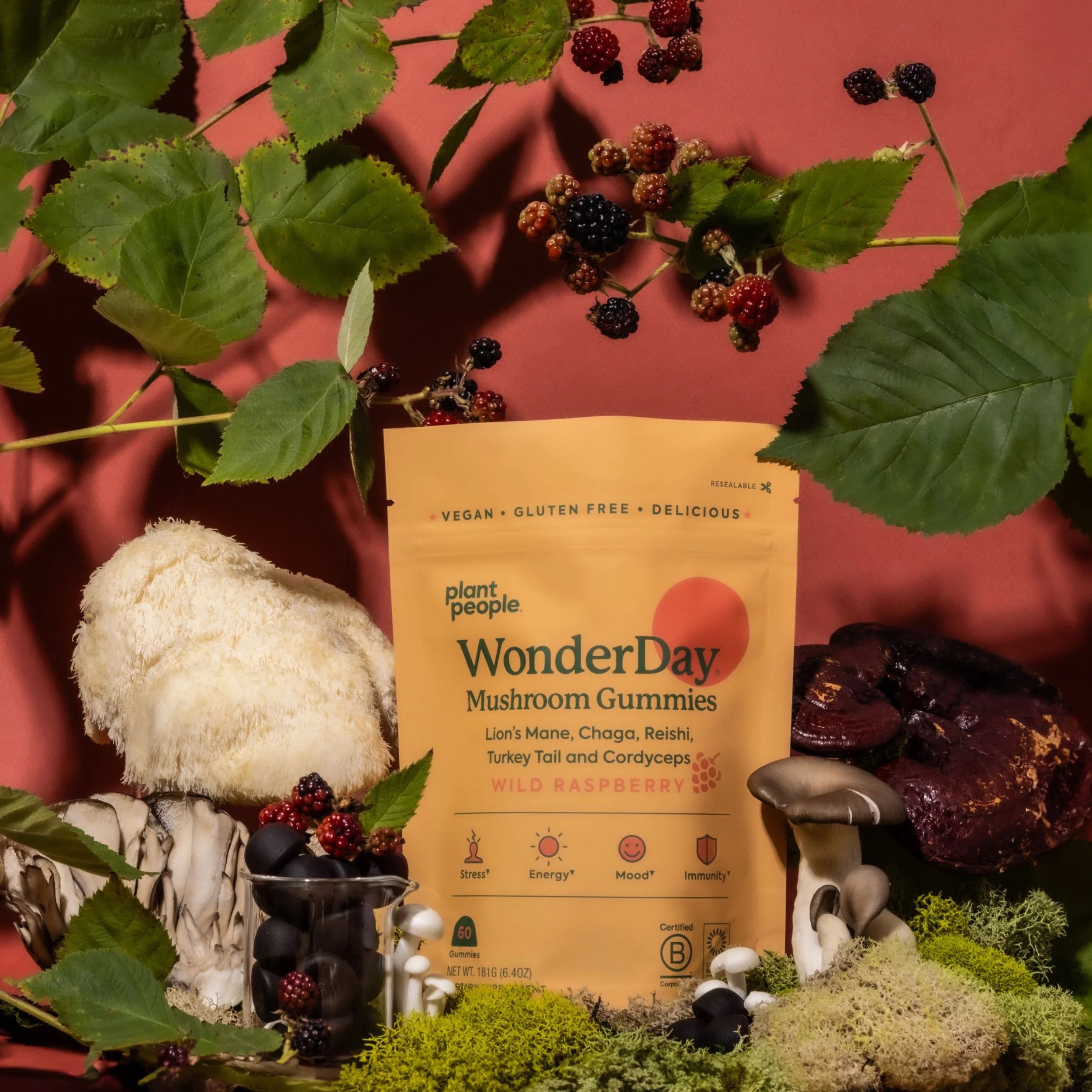 Plant People - WonderDay Mushroom Gummies - Wild Raspberry - 60ct - 2500mg per Serving - 30 Servings image 7