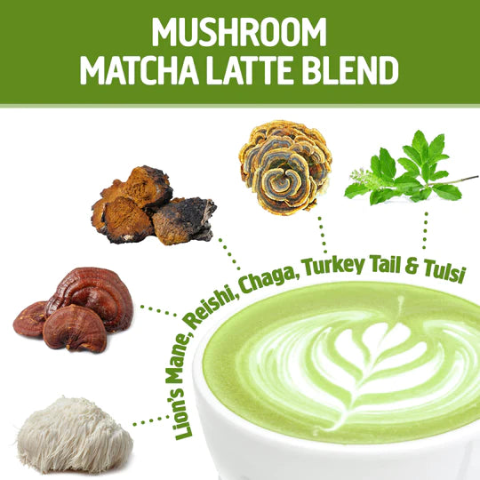 Om Mushroom Superfood - Mushroom Matcha Latte Blend - 240g - 30 Servings image 6