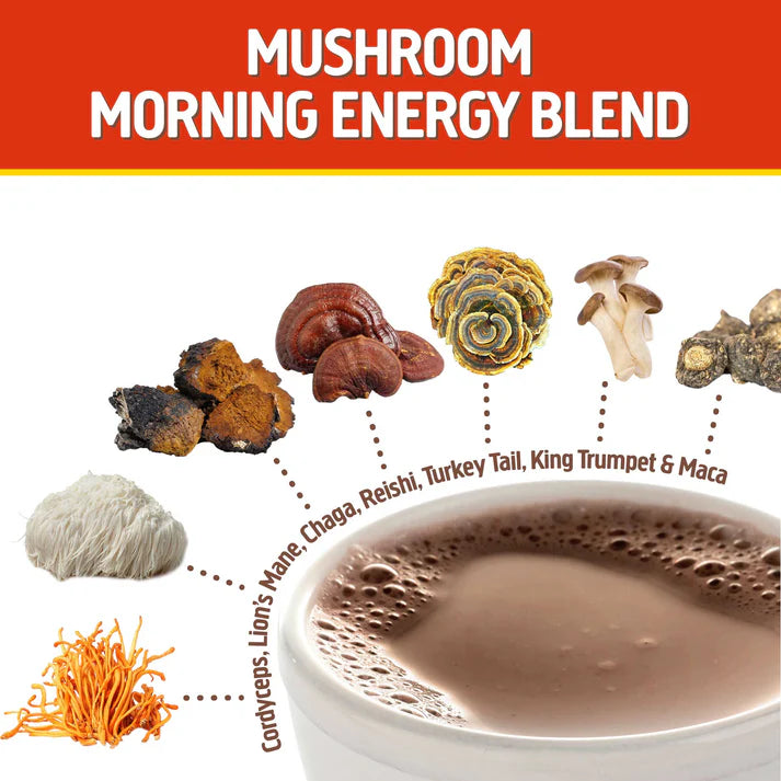 Om Mushroom Superfood - Mushroom Morning Blend - 80g - 10 Servings image 1