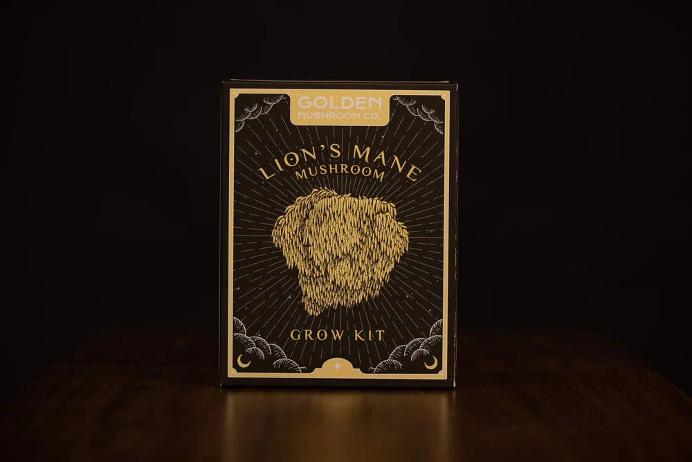 Golden Mushroom Co - Lion's Mane Mushroom Grow Kit image 2