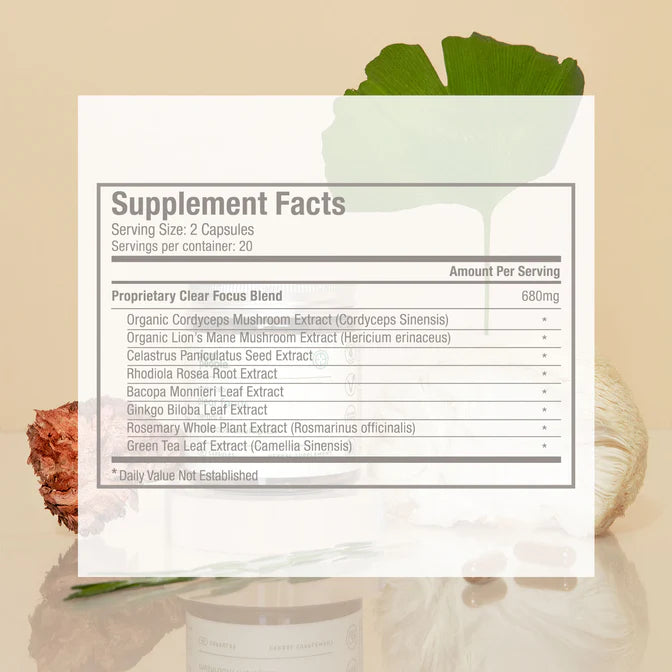 Plant People - Advanced Clear Focus Adaptogenic + Nootropic Brain Performance Capsules - 40ct - 680mg Focus Blend per Serving - 20 Servings image 4