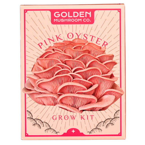 Golden Mushroom Co - Pink Oyster Mushroom Grow Kit image 0
