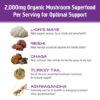 Om Mushroom Superfood - Mushroom Hot Chocolate Blend - 240g - 30 Servings - Image 4