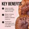 North Spore - Reishi Mushroom Tincture - 120mL - 120 Servings - Image 3