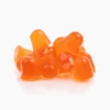 Plant People - WonderFocus Mushroom Gummies - Juicy Citrus - 60ct - 300mg per Serving - 30 Servings - Image 4