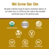 Om Mushroom Superfood - Master Blend Plant‑Based Protein - Creamy Chocolate - 518g - 14 Servings - Image 3
