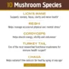 Om Mushroom Superfood - Master Blend Plant‑Based Protein - Creamy Chocolate - 518g - 14 Servings - Image 6