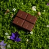 Alice Mushrooms - Nightcap Deep Sleep Reishi Mushroom Chocolates - 16 Servings - Image 4