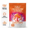 Cutleaf - Cordyceps Energy & Power Mushroom Gummies - Mango - 8ct - 1000mg + 25mg Full Spectrum CBD + 3mg D9 THC per Serving - 8 Servings - Image 2