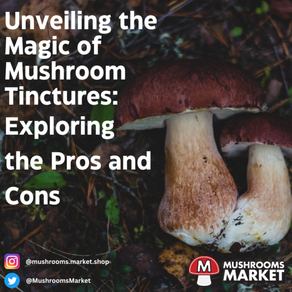 Unveiling the Magic of Mushroom Tinctures Exploring the Pros and Cons