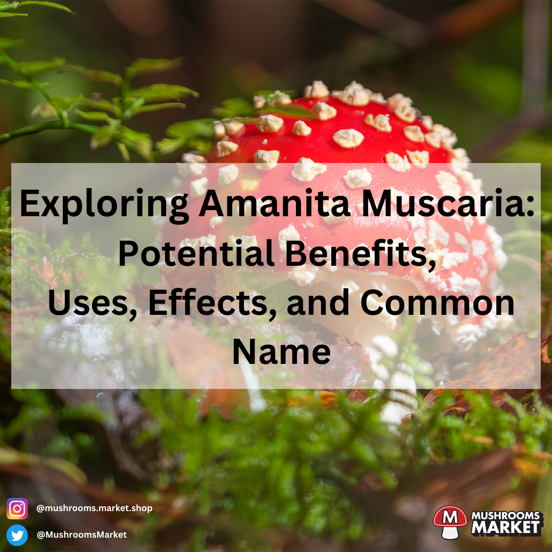 Exploring Amanita Muscaria: Potential Benefits, Uses, Effects, And ...