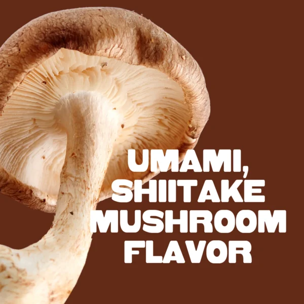 Pan's Mushroom Jerky - Teriyaki Mushroom Jerky - Shiitake - 62g - 2 Servings - Image 7