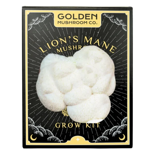 Golden Mushroom Co - Lion's Mane Mushroom Grow Kit