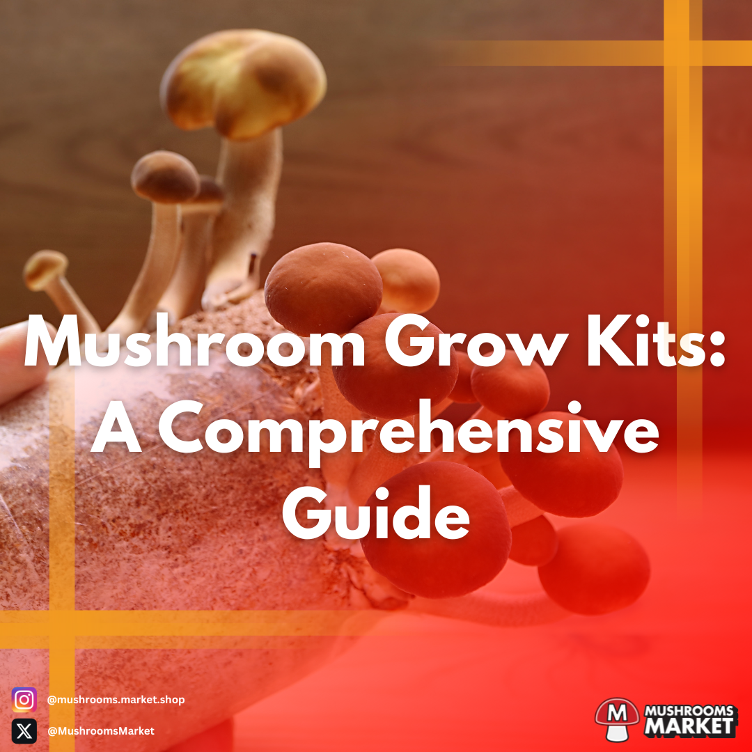 Mushroom Grow Kits A Comprehensive Guide Mushrooms Market 9245