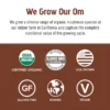 Om Mushroom Superfood - Mushroom Coffee Blend - 58g - 10 Servings - Image 6