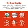 Om Mushroom Superfood - Mushroom Morning Blend - 80g - 10 Servings - Image 3