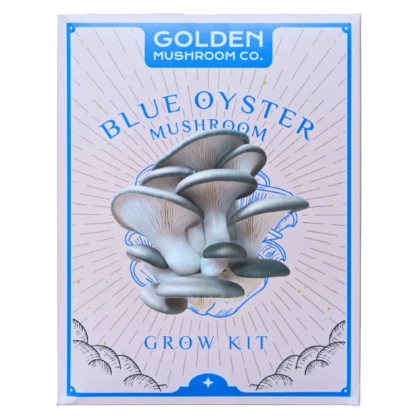 Golden Mushroom Co - Blue Oyster Mushroom Grow Kit