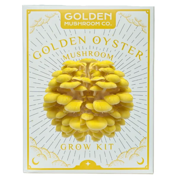 Golden Mushroom Co - Golden Oyster Mushroom Grow Kit