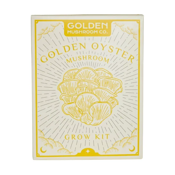 Golden Mushroom Co - Golden Oyster Mushroom Grow Kit - Image 2